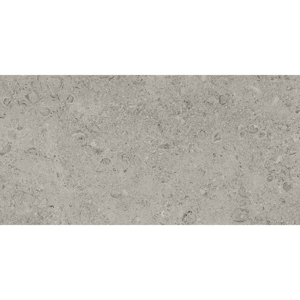 Tesoro 12" x 24" Shellstone Rectified Matte Porcelain Tile