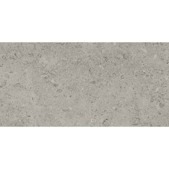 Tesoro 12" x 24" Shellstone Rectified Matte Porcelain Tile