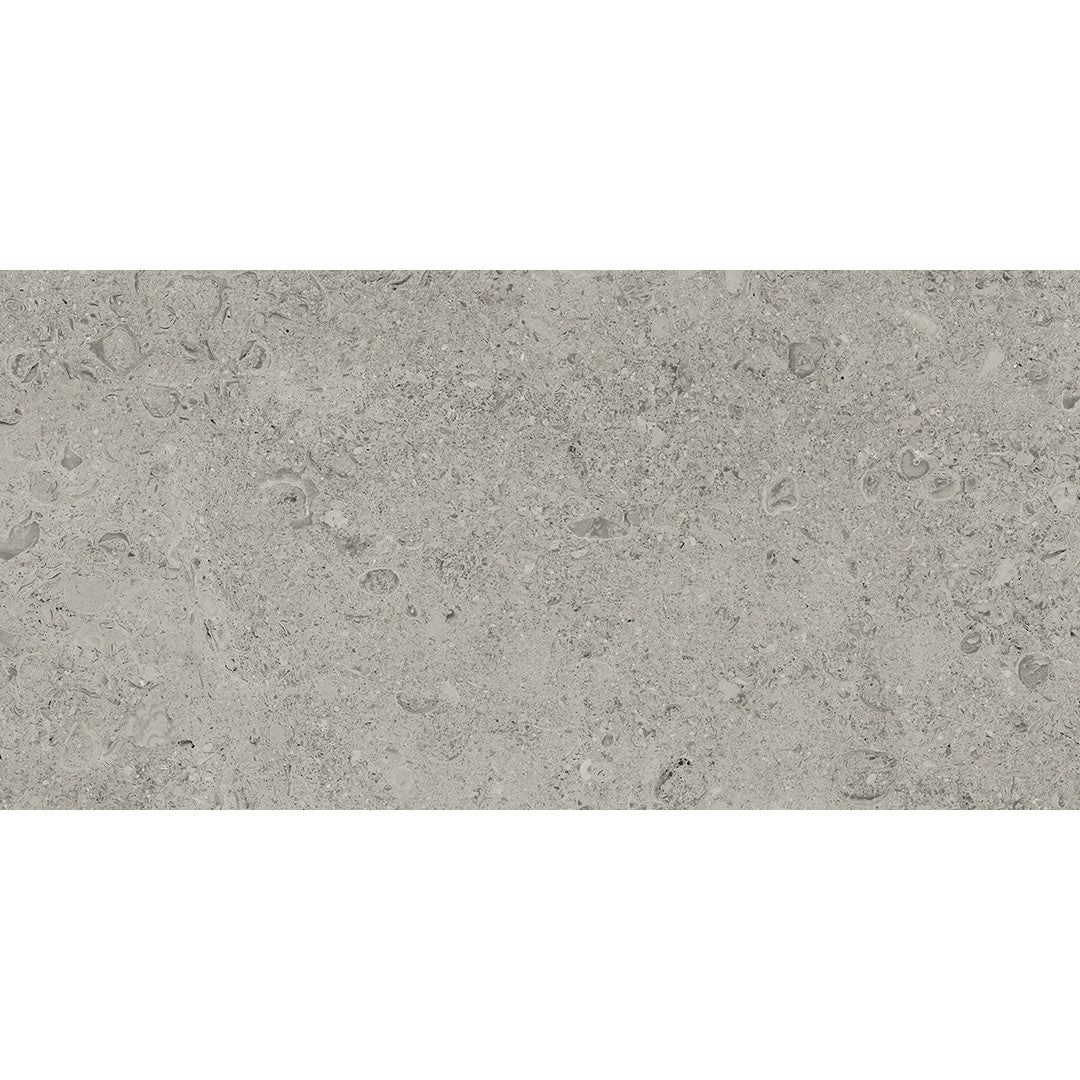 Tesoro 12" x 24" Shellstone Rectified Matte Outdoor Porcelain Tile