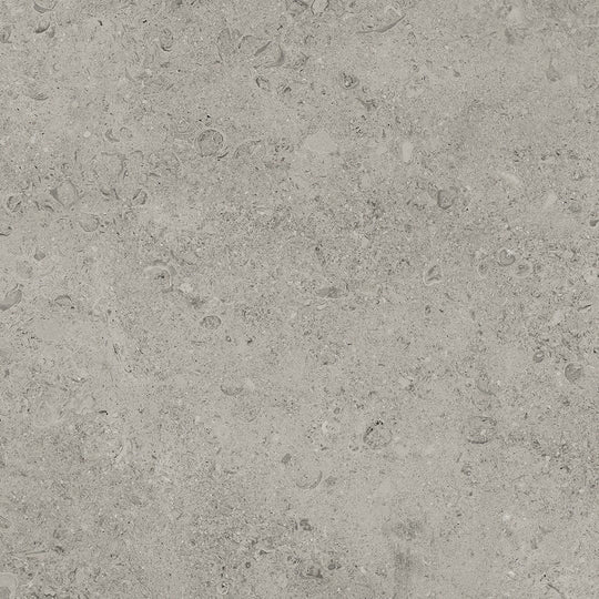 Tesoro 24" x 24" Shellstone Rectified Matte Porcelain Tile