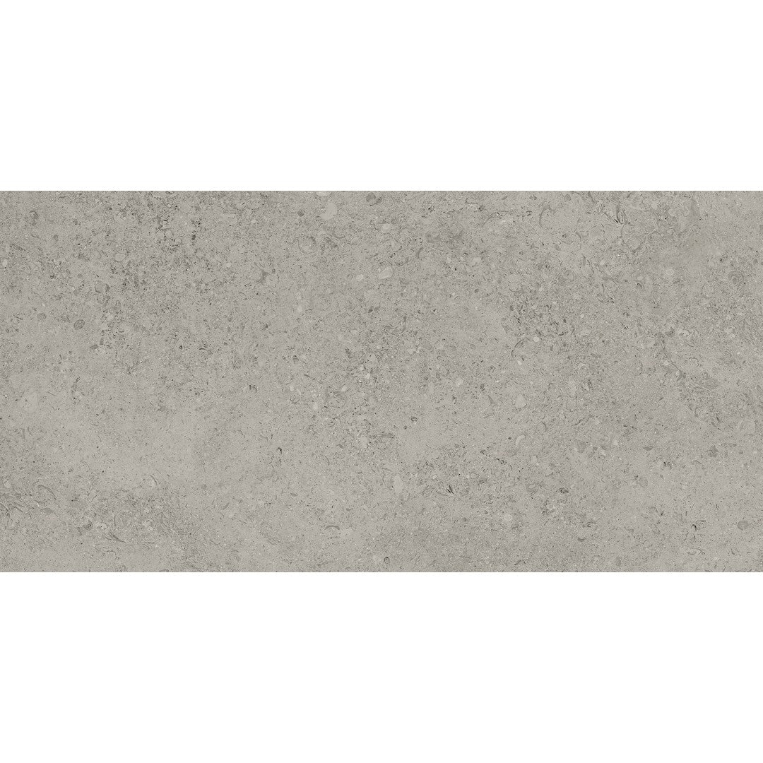 Tesoro 24" x 48" Shellstone Rectified Matte Porcelain Tile