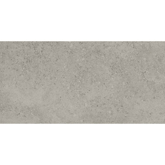 Tesoro 24" x 48" Shellstone Rectified Matte Porcelain Tile