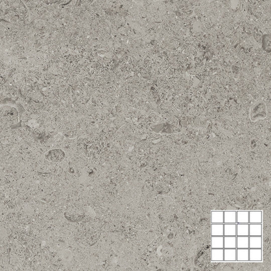 Tesoro 12" x 12" Shellstone Rectified Matte Porcelain 3" Mosaic