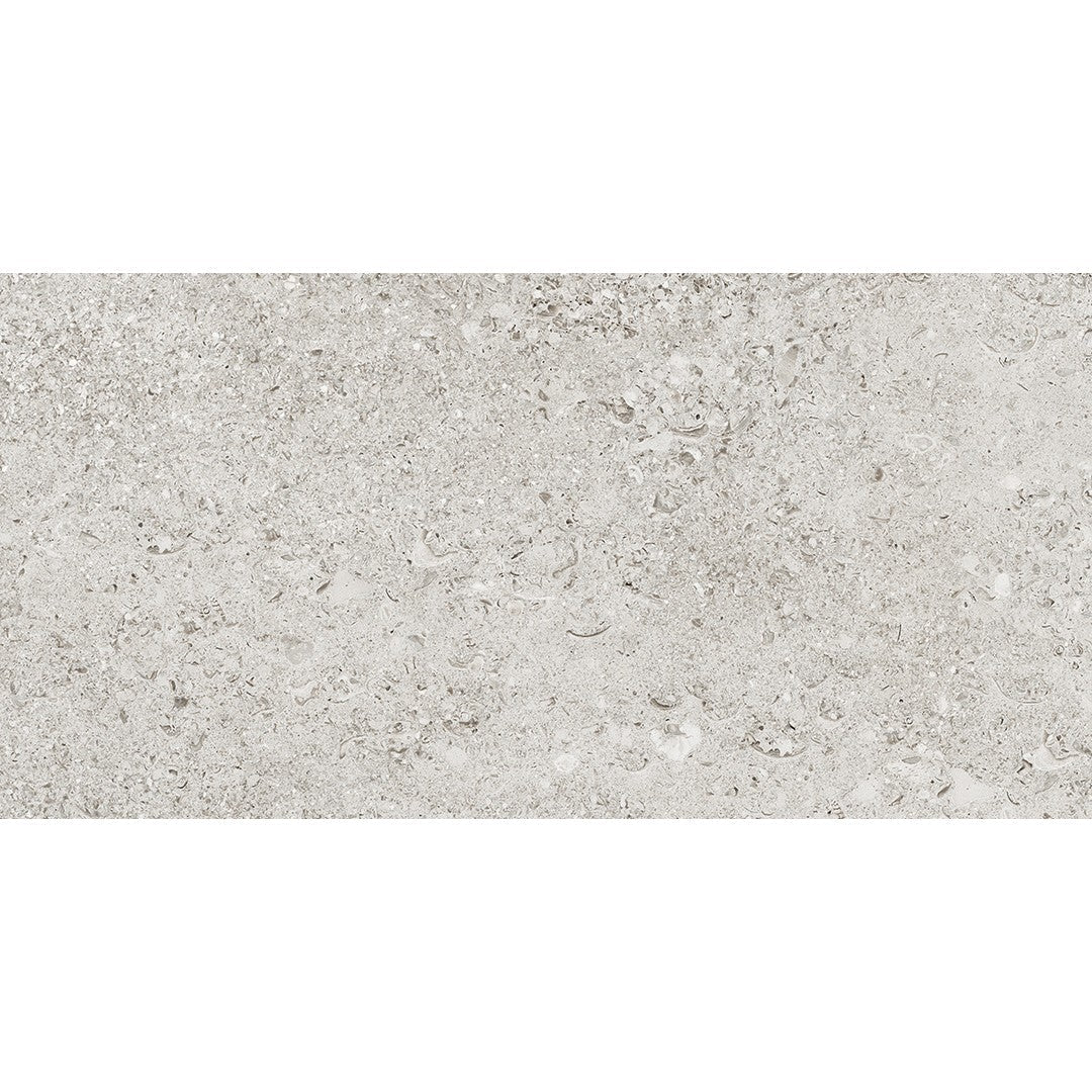 Tesoro 12" x 24" Shellstone Rectified Matte Outdoor Porcelain Tile
