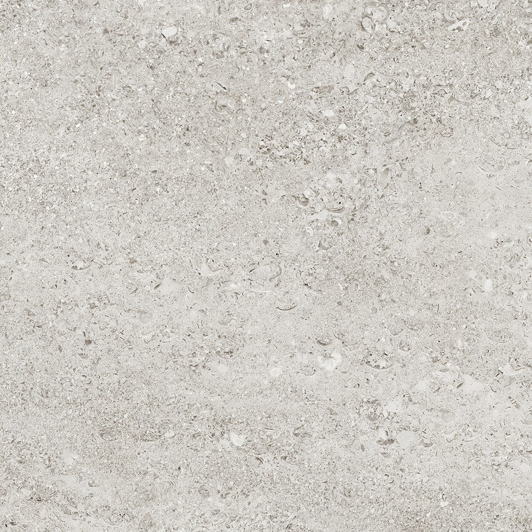 Tesoro 24" x 24" Shellstone Rectified Matte Porcelain Tile