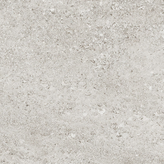 Tesoro 24" x 24" Shellstone Rectified Matte Porcelain Tile