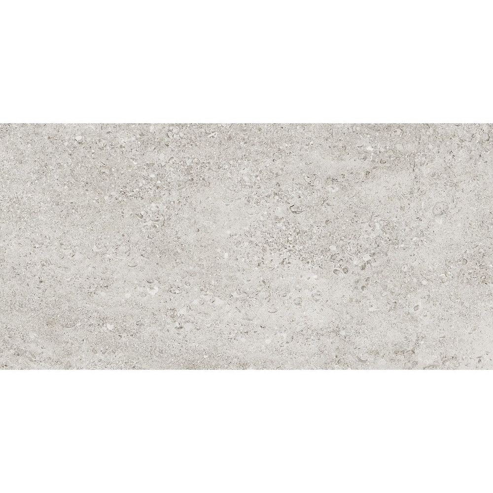 Tesoro 24" x 48" Shellstone Rectified Matte Porcelain Tile