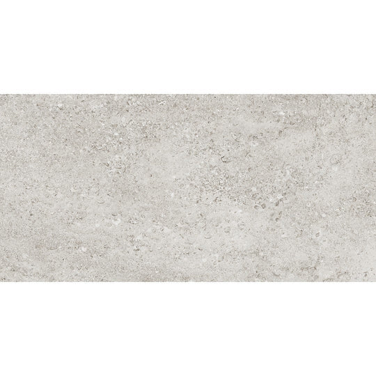 Tesoro 24" x 48" Shellstone Rectified Matte Porcelain Tile