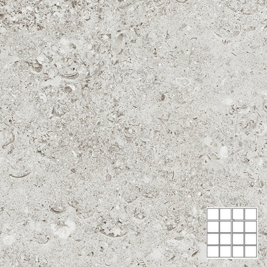 Tesoro 12" x 12" Shellstone Rectified Matte Porcelain 3" Mosaic