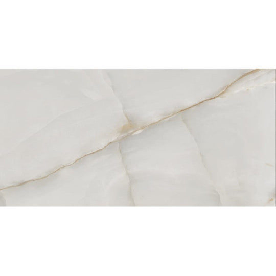 Milestone 12" x 24" Onyx Matte Porcelain Tile