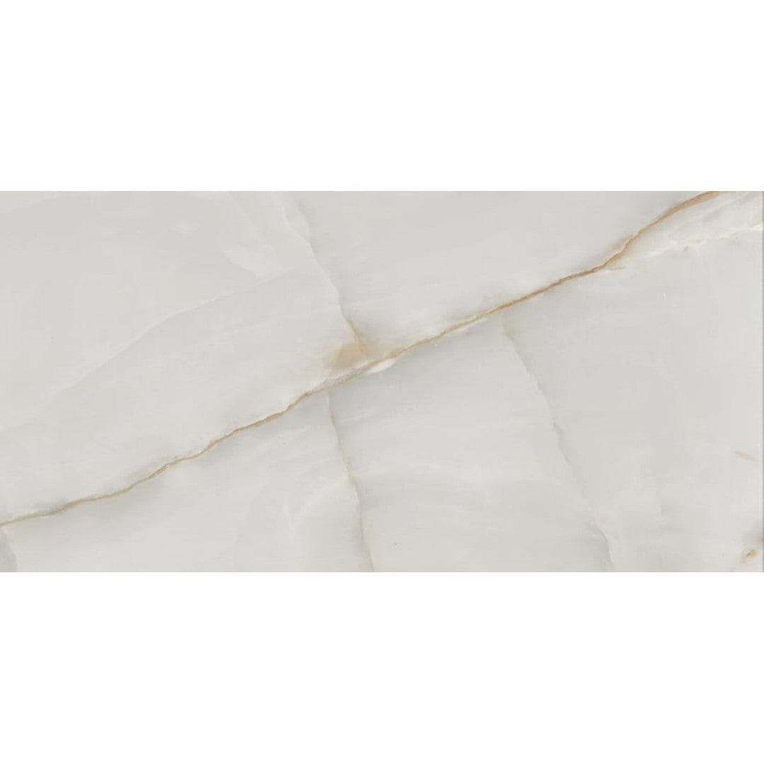 Milestone 12" x 24" Onyx Polished Porcelain Tile