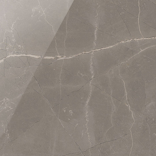Milestone 12" x 12" Luxury Polished Porcelain Tile