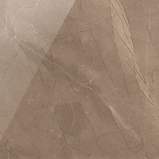 Milestone 12" x 12" Luxury Polished Porcelain Tile
