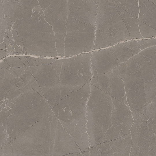 Milestone 12" x 12" Luxury Matte Porcelain Tile