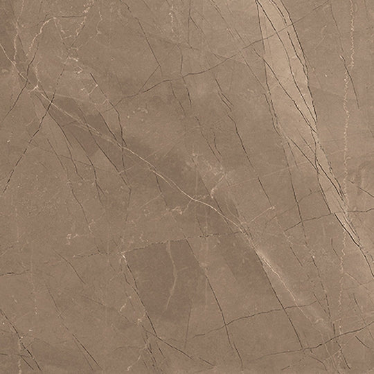 Milestone 12" x 12" Luxury Matte Porcelain Tile