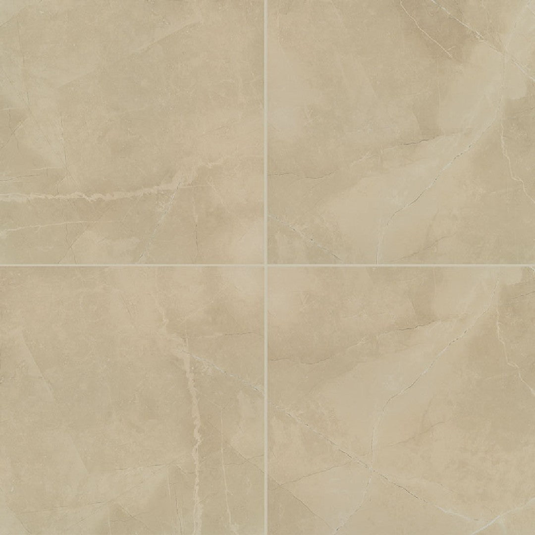 MS International 24" x 24" Sande Polished Porcelain Tile