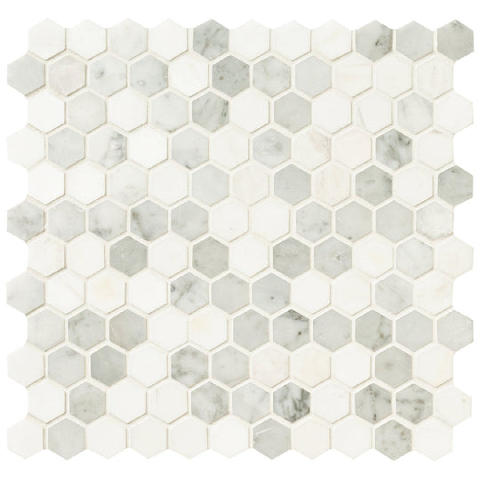 MS International 11.73" x 11.73" Bianco Dolomite Marble 1" Hexagon Mosaic