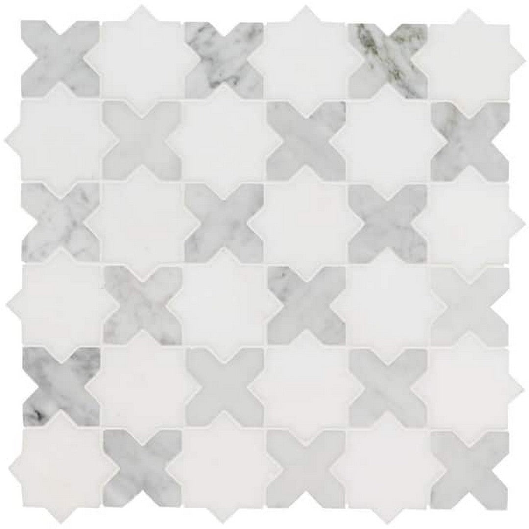 MS International 12" x 12" Vera Anne Polished Pattren Marble Mosaic