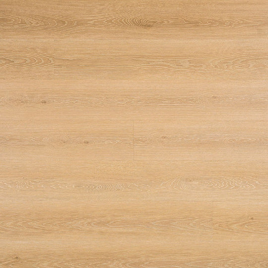 MS International 7" x 48" Prescott Low Gloss Luxury Vinyl Plank 20mil