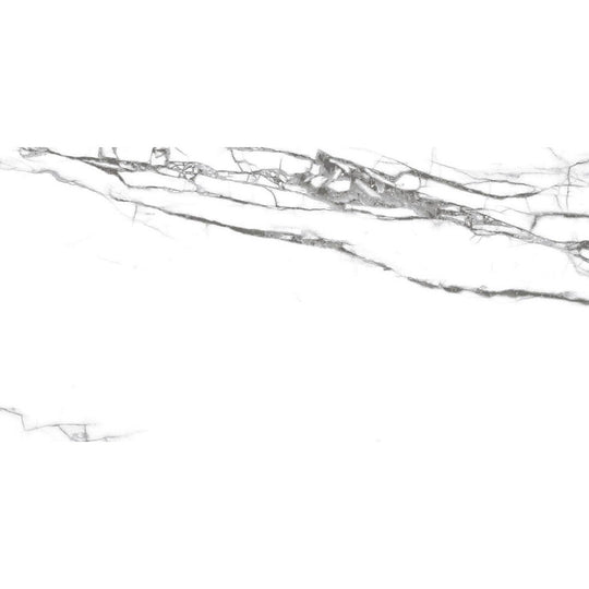 Tesoro 12" x 24" Dendric Rectified Polished Porcelain Tile