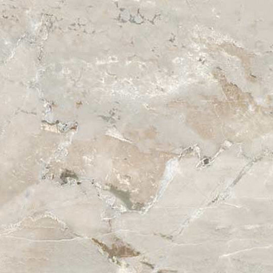 Floors 2000 Marbles 24" x 24" Rectified Polished Porcelain Tile