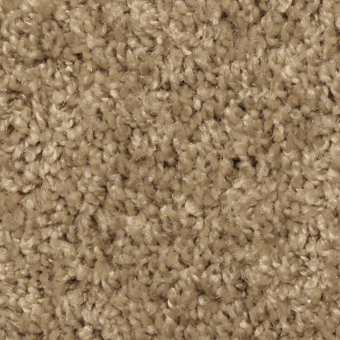 Phenix Microban Chandler Bay 12' Polyester Carpet Tile