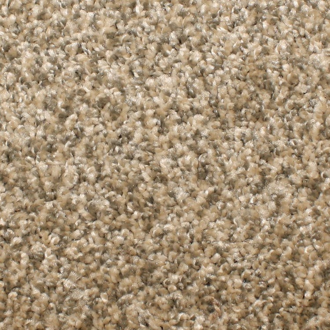 Phenix Microban Touchstone 12' Polyester Carpet Tile