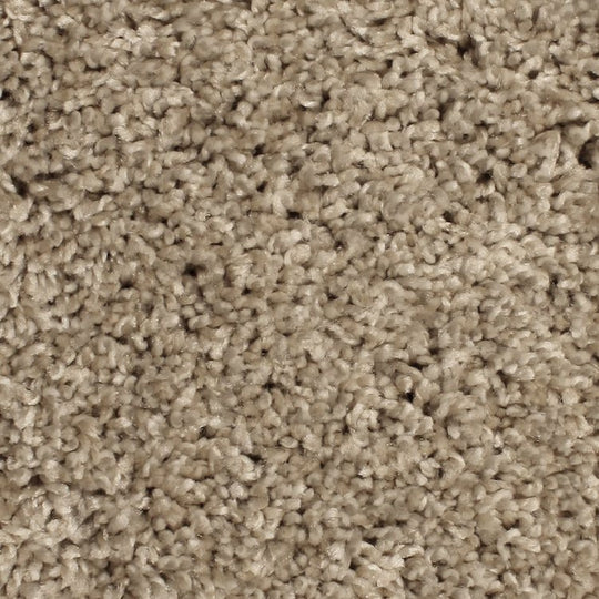 Phenix Microban Paradox 12' Polyester Carpet Tile