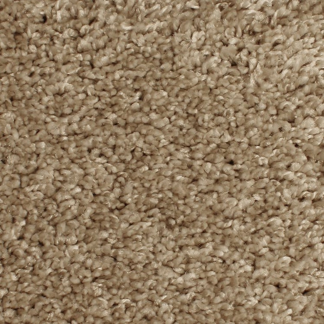 Phenix Microban Paradox 12' Polyester Carpet Tile