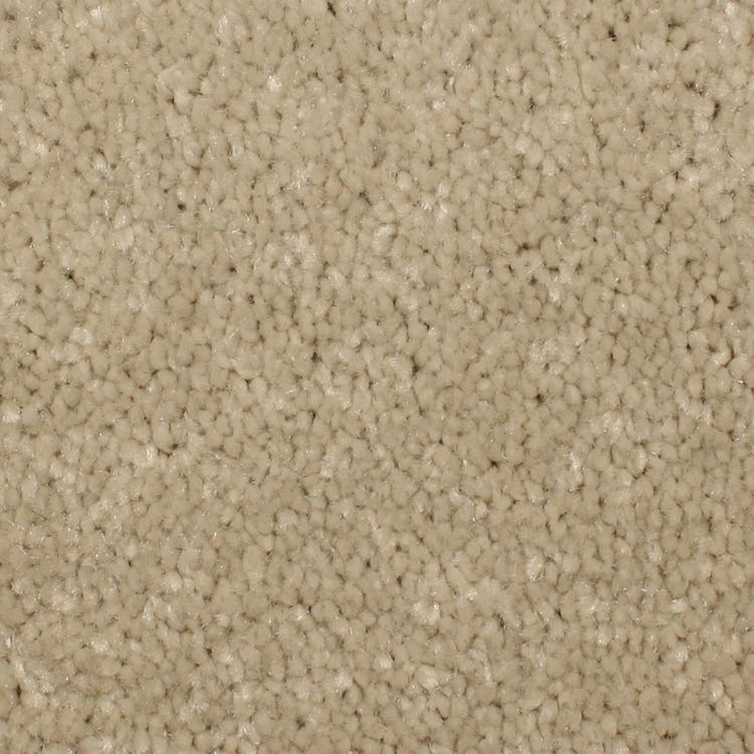 Phenix Microban Panache 12' Polyester Carpet Tile