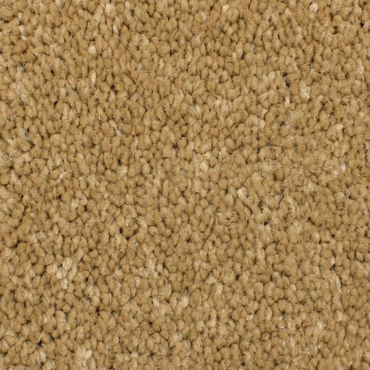 Phenix Microban Panache 12' Polyester Carpet Tile