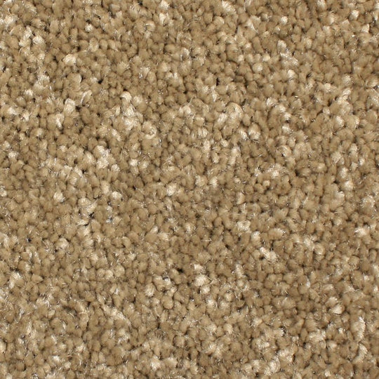 Phenix Microban Panache 12' Polyester Carpet Tile