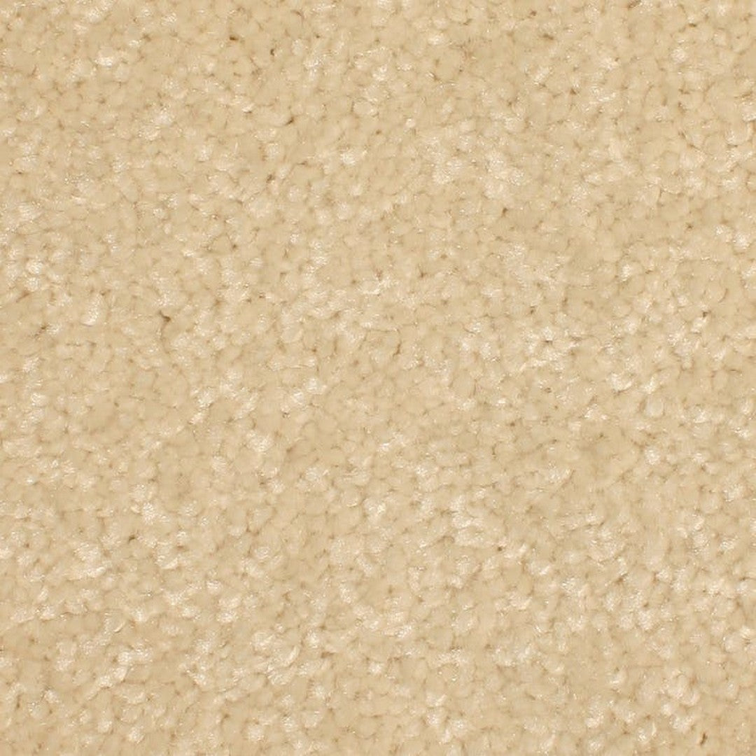 Phenix Microban Panache 12' Polyester Carpet Tile