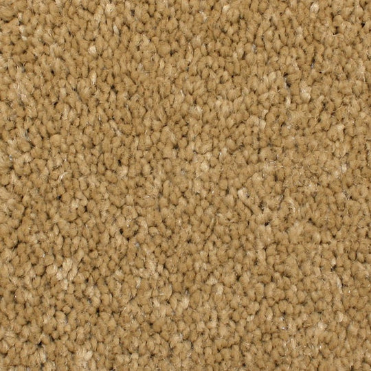 Phenix Microban Cachet 12' Polyester Carpet Tile