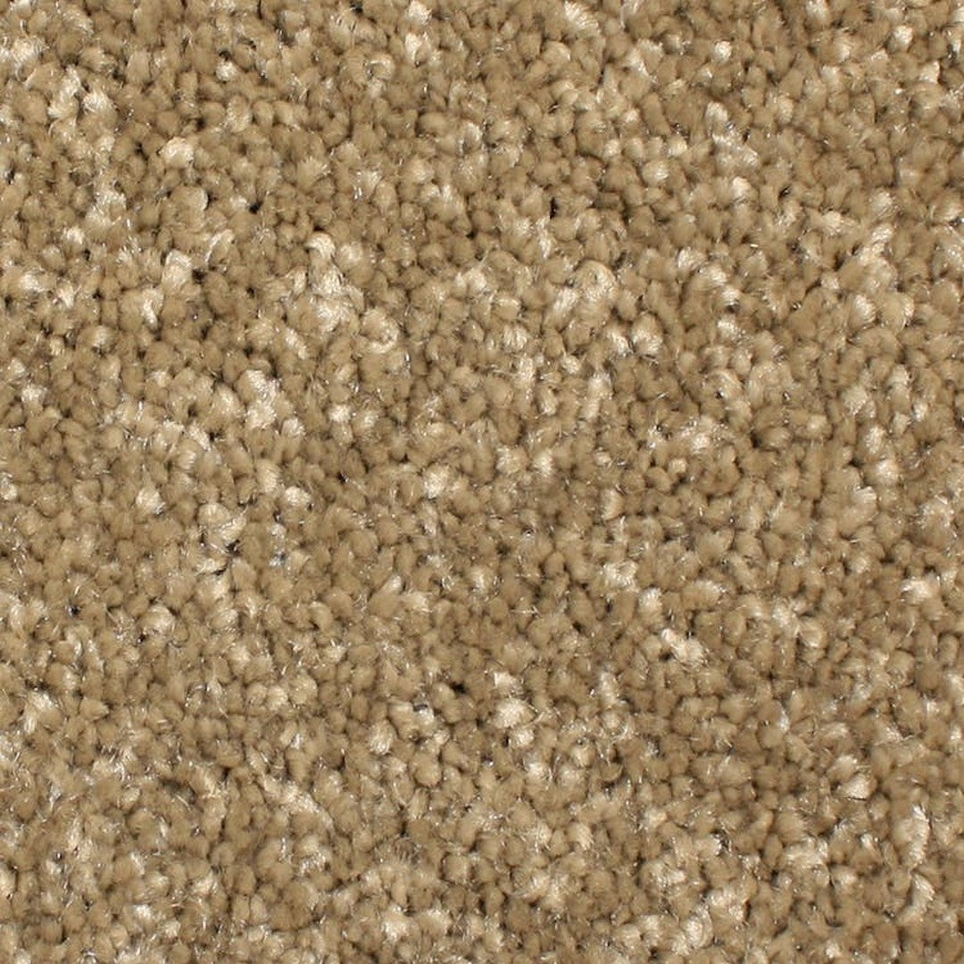 Phenix Microban Cachet 12' Polyester Carpet Tile