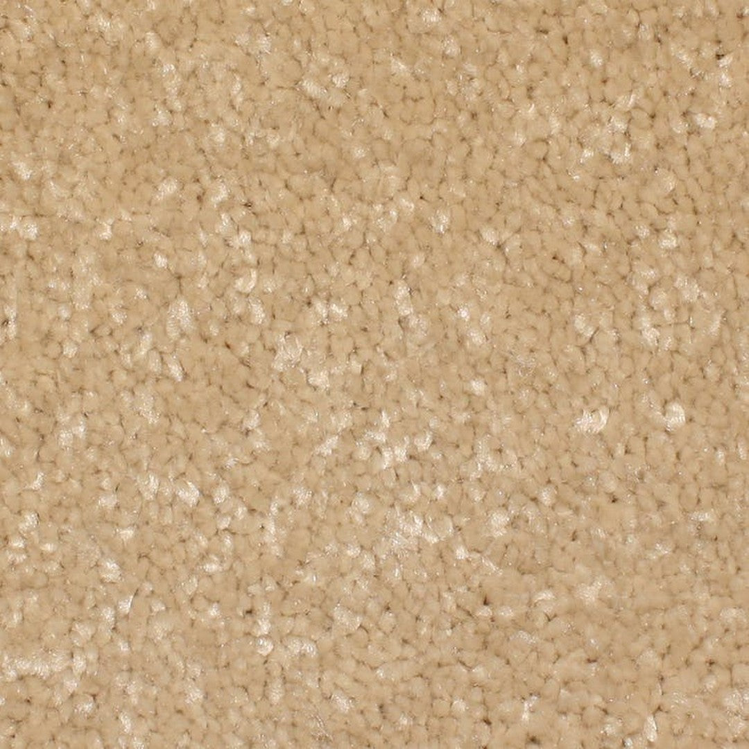 Phenix Microban Cachet 12' Polyester Carpet Tile