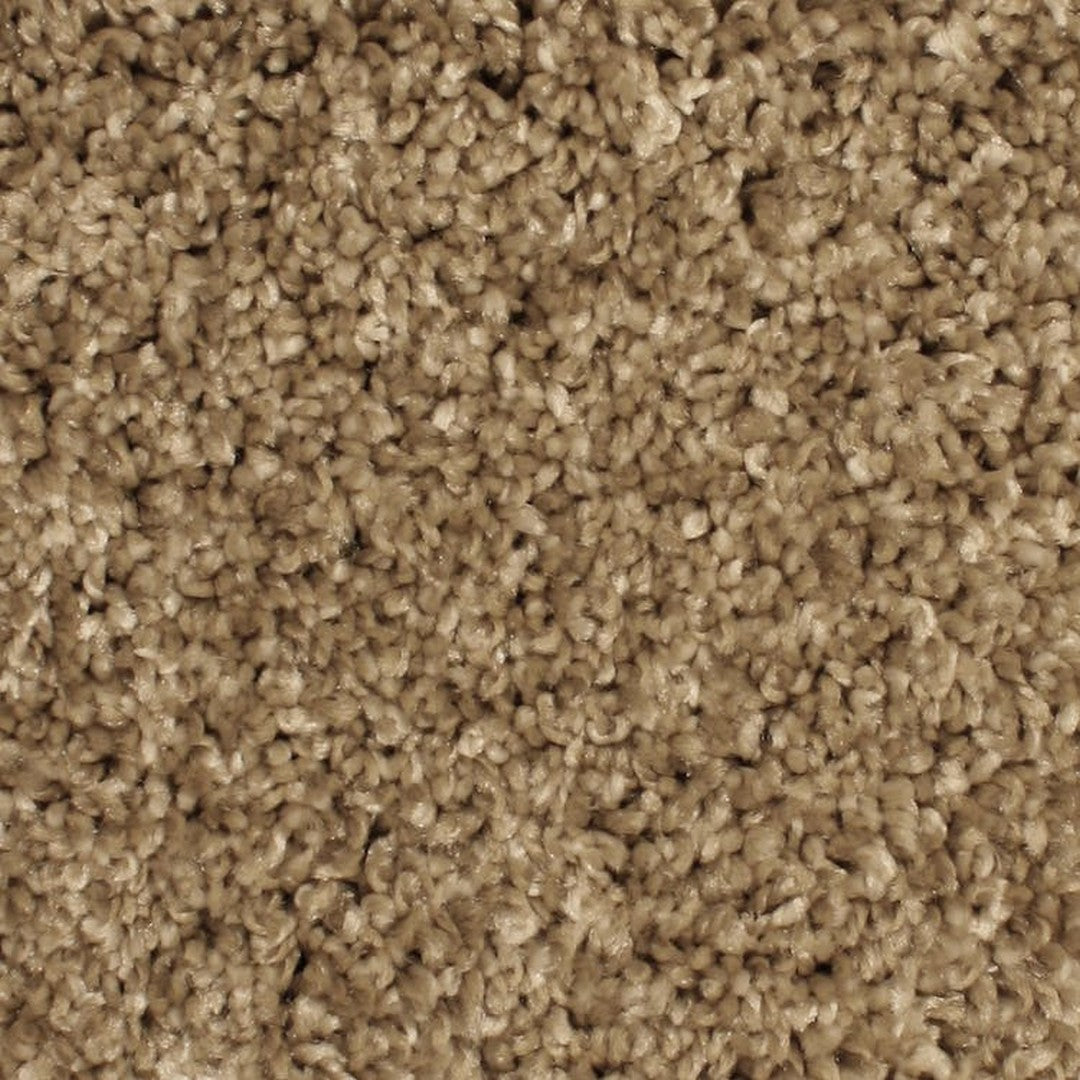 Phenix Microban Paragon 12' Polyester Carpet Tile