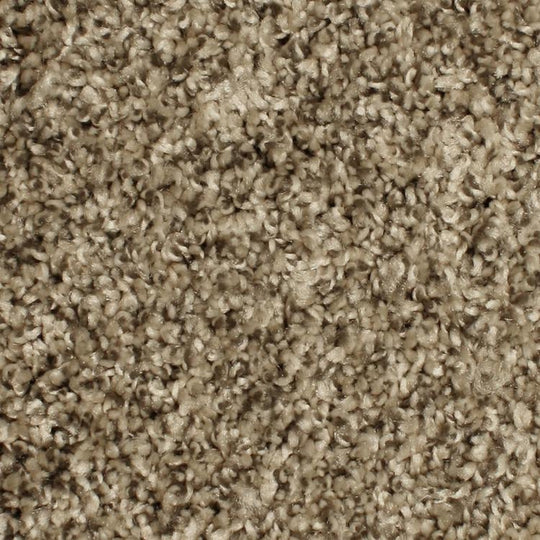 Phenix Microban Paragon 12' Polyester Carpet Tile