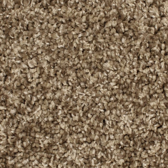 Phenix Microban Paragon 12' Polyester Carpet Tile