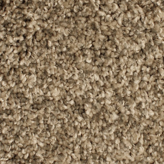 Phenix Microban Paragon 12' Polyester Carpet Tile