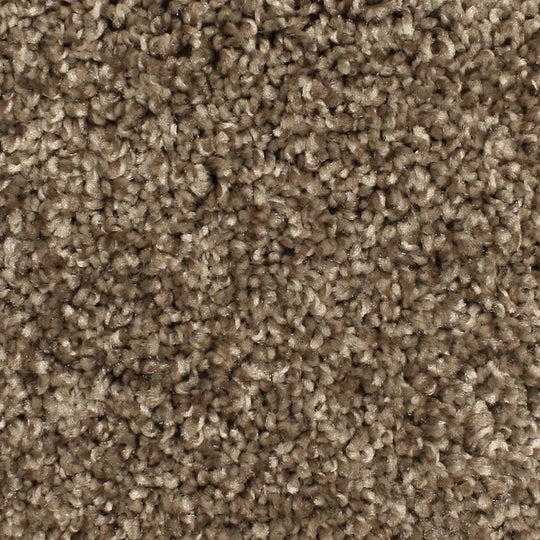 Phenix Microban Paragon 12' Polyester Carpet Tile