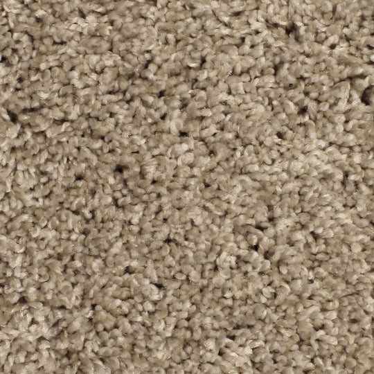 Phenix Microban Paradigm 12' Polyester Carpet Tile