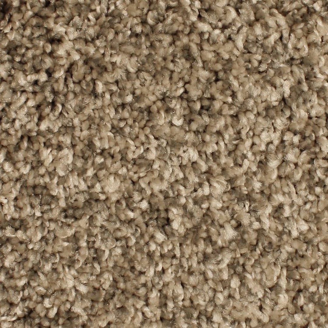 Phenix Microban Paradigm 12' Polyester Carpet Tile