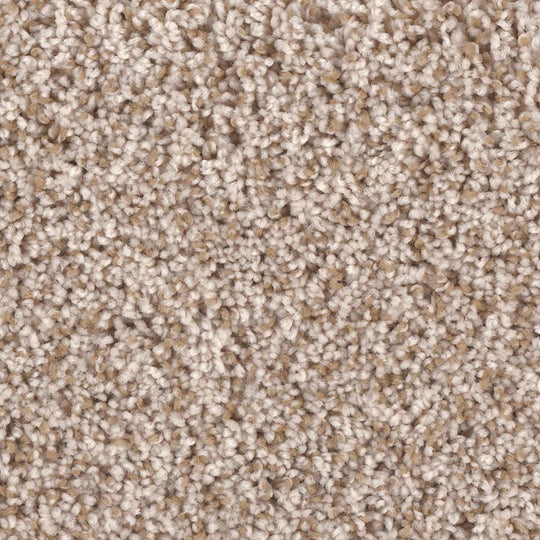 Phenix Microban Creekside II 12' Polyester Carpet Tile