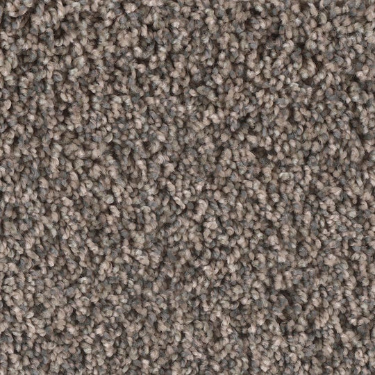 Phenix Microban Creekside II 12' Polyester Carpet Tile