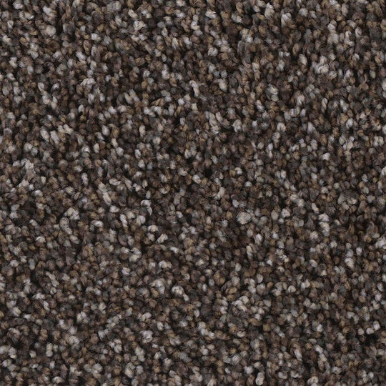 Phenix Microban Riverband II 12' Polyester Carpet Tile