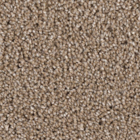 Phenix Microban Grand Champion 12' Polyester Carpet Tile