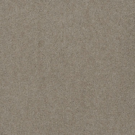 Phenix Microban Polaris 12' Poylester Carpet Tile