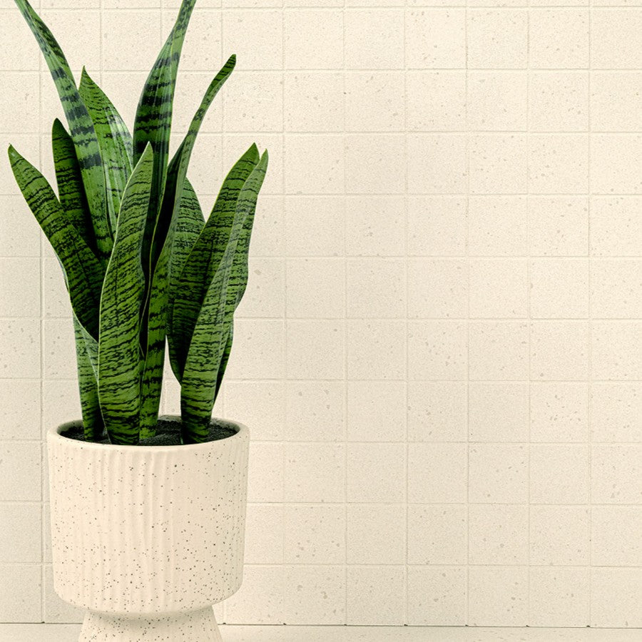 MS-International-12-x-12-Architecta-Rectified-Matte-Porcelain-2-Mosaic-Glacier