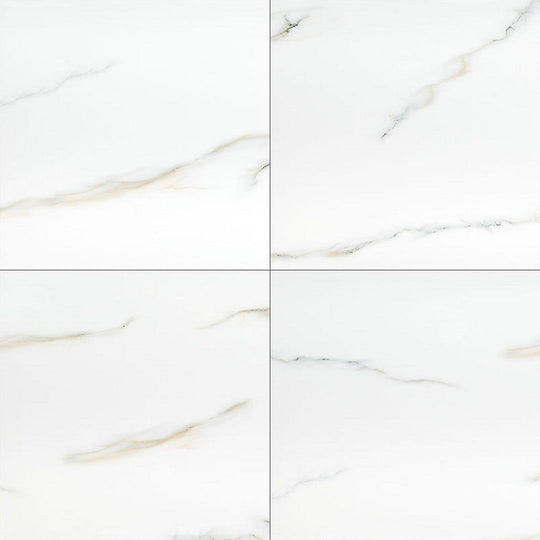 MS International Aria 24" x 24" Polished Porcelain Tile